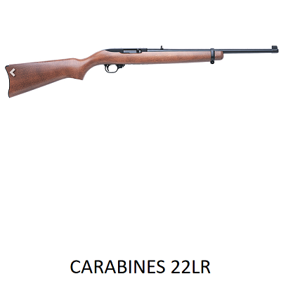 CARABINES 22LR