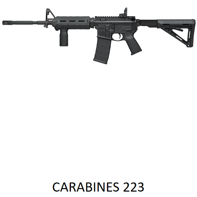 CARABINES 223