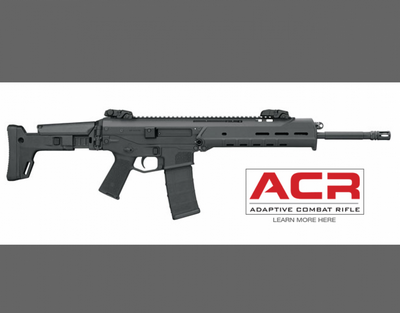 BUSHMASTER ACR 223 REM