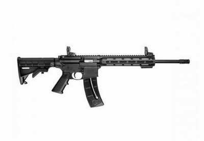 SMITH & WESSON MP15-22 SPORT 